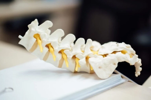 Lomber Disk Hernisi Nedir?